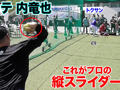 福幸SPORTSフェス